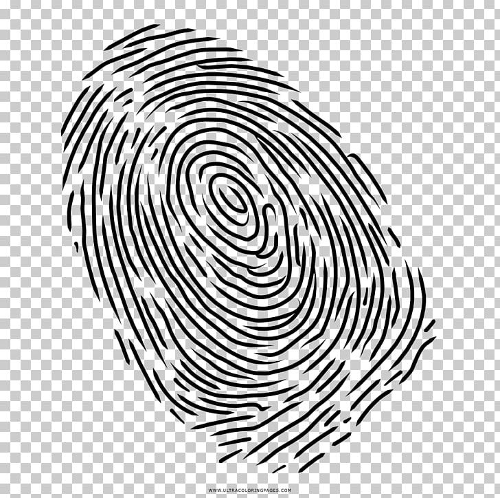 Fingerprint PNG, Clipart, Black, Black And White, Circle, Digit, Drawing Free PNG Download