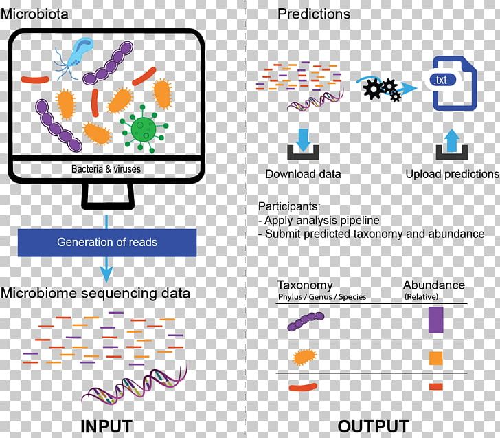 Human Genome Project Microbiota DNA Sequencing PNG, Clipart, Area, Brand, Computer, Computer Icon, Computer Icons Free PNG Download