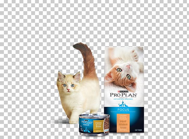 Kitten Cat Food Dog Chicken PNG, Clipart, Animals, Calorie, Carnivoran, Cat, Cat Food Free PNG Download