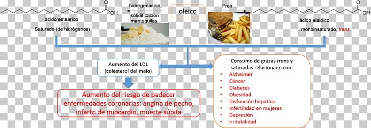Cis–trans Isomerism Web Page Cisgender Nutrition Health PNG, Clipart, Area, Brand, Calorie, Cisgender, Diagram Free PNG Download