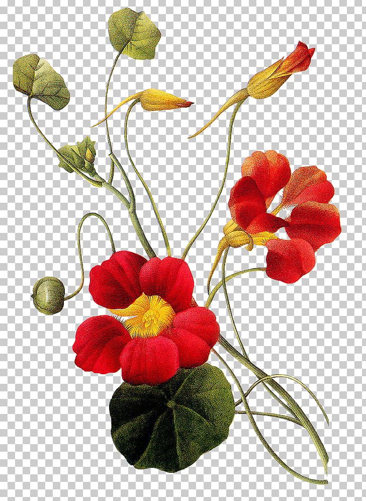 Flower Tattoo Choix Des Plus Belles Fleurs Vintage Clothing PNG, Clipart, Abziehtattoo, Annual Plant, Desktop Wallpaper, Fashion, Flower Free PNG Download