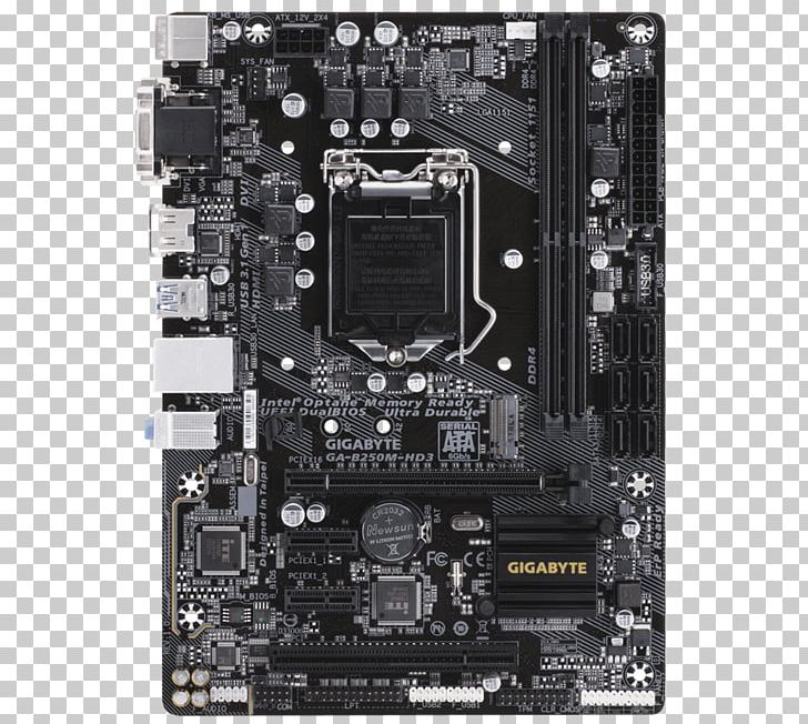 LGA 1151 Motherboard Gigabyte Technology MicroATX GIGABYTE GA-B250M-DS3H PNG, Clipart, Atx, Computer Hardware, Electronic Device, Electronics, Gigabyte Gab250mds3h Free PNG Download