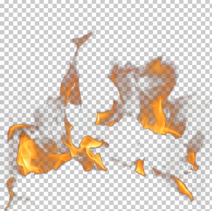 Light Flame Fire PNG, Clipart, Boy Cartoon, Burn, Burning, Burning It Youth, Burn It Free PNG Download