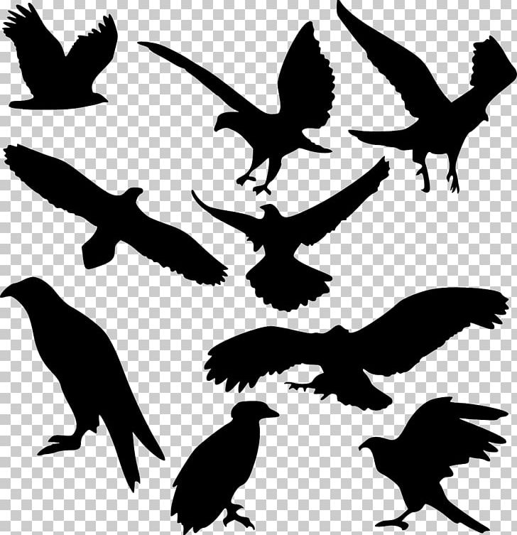 Bird Art PNG, Clipart, Animals, Art, Beak, Bird, Bird Of Prey Free PNG Download