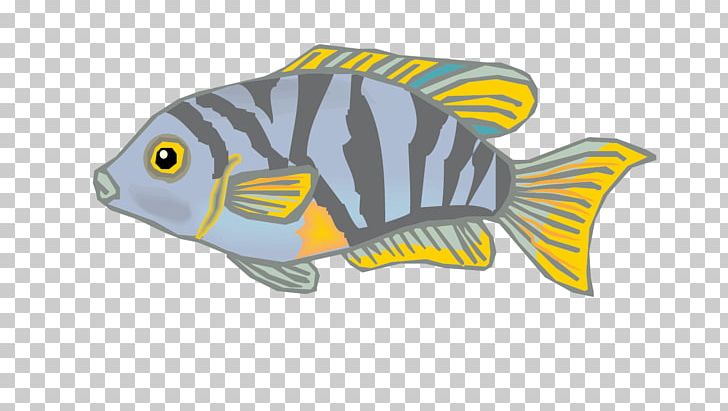 Carassius Auratus PNG, Clipart, Adobe Illustrator, Animals, Animation, Carassius Auratus, Christmas Ornaments Free PNG Download