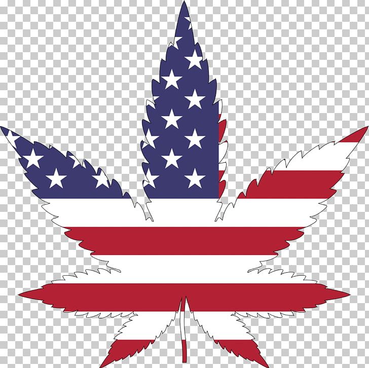 Flag Of The United States Cannabis Hemp Legalization PNG, Clipart, Cannabis, Drug, Flag, Flag Of The United States, Flowering Plant Free PNG Download