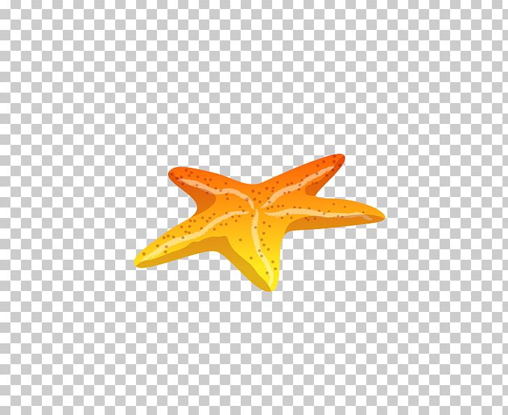 Starfish Euclidean PNG, Clipart, Animals, Beautiful Starfish, Cartoon Starfish, Echinoderm, Encapsulated Postscript Free PNG Download