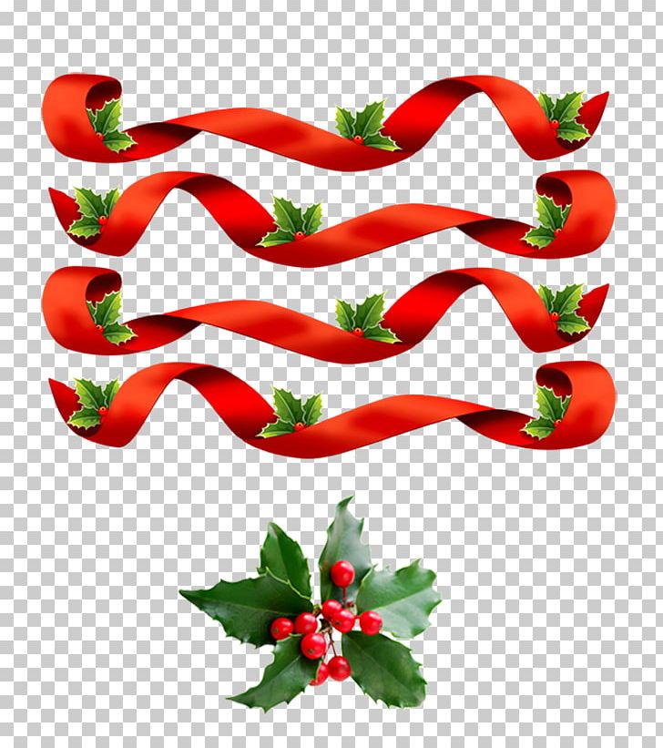 Tabasco Pepper Ribbon Christmas Carol Cockade PNG, Clipart,  Free PNG Download