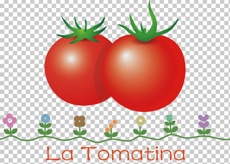 La Tomatina Tomato Throwing Festival Png Clipart Bush Tomato Datterino Tomato Flower La 1275