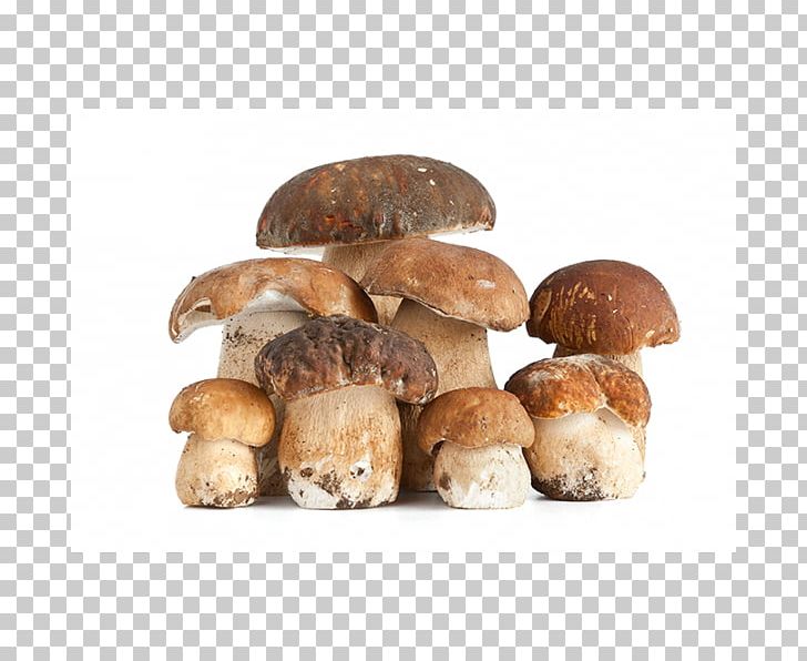 Boletus Edulis Edible Mushroom Fungus Desktop PNG, Clipart, Boletus, Boletus Edulis, Bread, Chanterelle, Desktop Wallpaper Free PNG Download