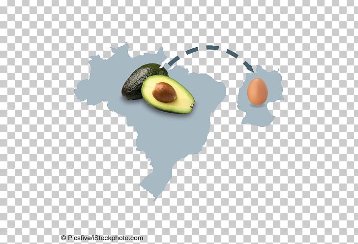 Brazil Map PNG, Clipart, Avocado, Blank Map, Brazil, Computer Wallpaper, Flag Of Brazil Free PNG Download