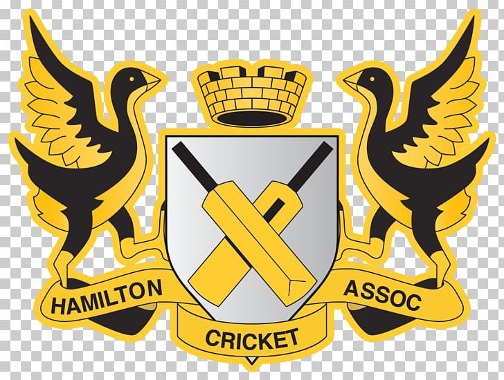 New Zealand National Cricket Team Northern Districts Cricket Team Logo Hamilton PNG, Clipart, Badge, Ball, Bowling Cricket, Brand, Crest Free PNG Download