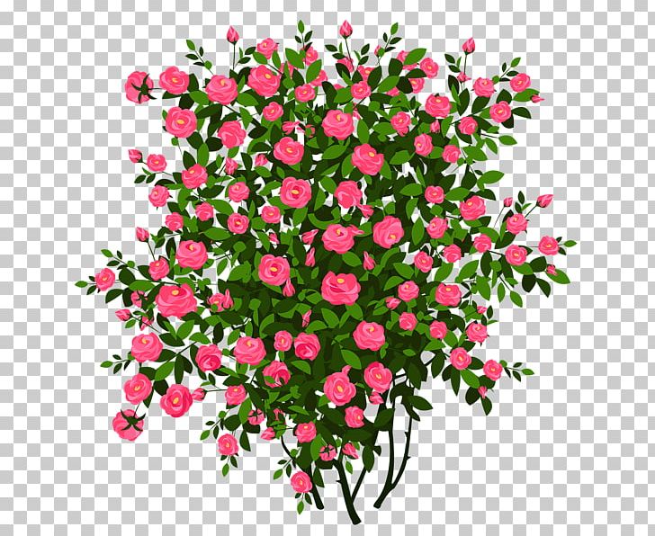 Rose Shrub PNG, Clipart, Annual Plant, Blue Rose, Branch, Cut Flowers, Drawing Free PNG Download