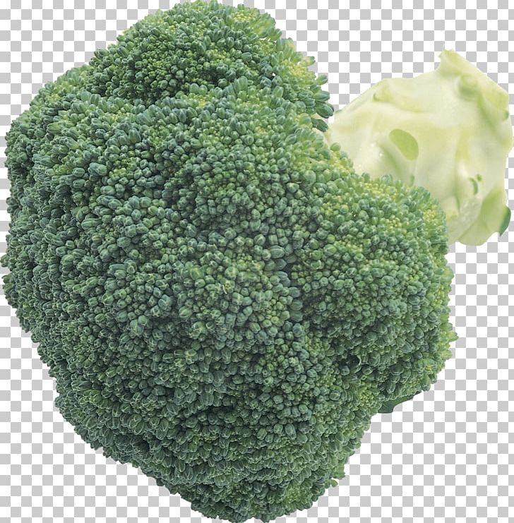 Broccoli Cabbage Cauliflower Brussels Sprout PNG, Clipart, Brassica Oleracea, Broccoli, Broccoli Slaw, Brussels Sprout, Cabbage Free PNG Download