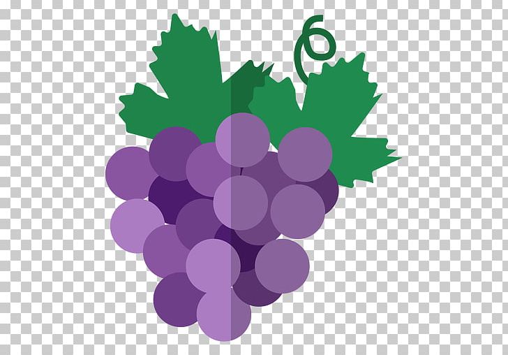 Grape Wine PNG, Clipart, Circle, Computer Icons, Download, Encapsulated Postscript, Flowering Plant Free PNG Download