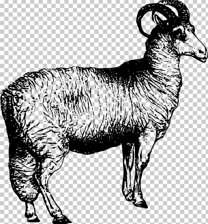 Leicester Longwool Welsh Mountain Sheep Merino Sheep Shearing PNG, Clipart, Animal Farm, Cow Goat Family, Farm, Fauna, Goats Free PNG Download