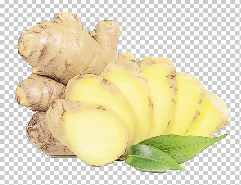 Ginger Vegetable Plant Tuber Root Vegetable PNG, Clipart, Flower, Food, Ginger, Herbaceous Plant, Ingredient Free PNG Download