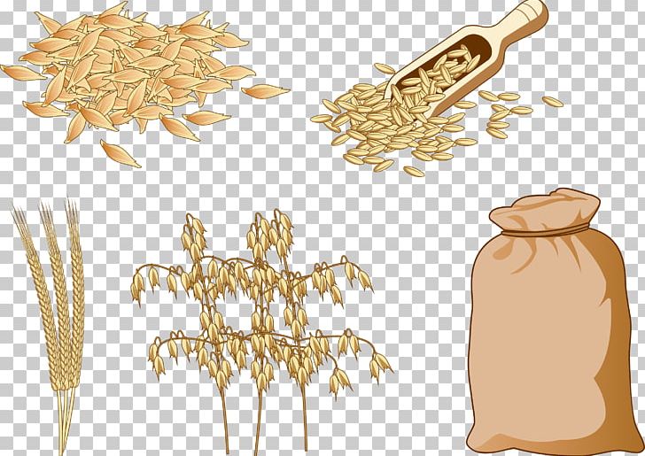 Cereal Brown Rice Food Oat PNG, Clipart, Barley, Bran, Bread, Brown, Brown Background Free PNG Download