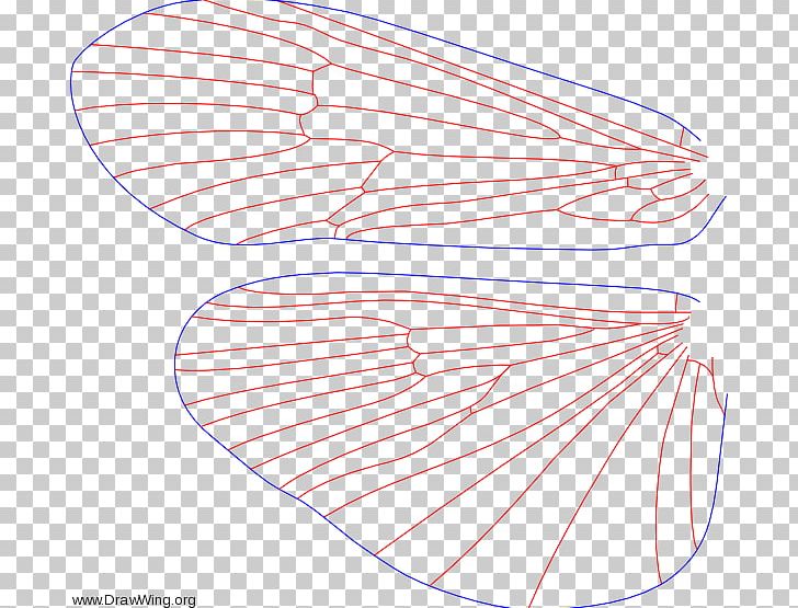 Drawing Finger Pink M PNG, Clipart, Angle, Area, Art, Circle, Drawing Free PNG Download