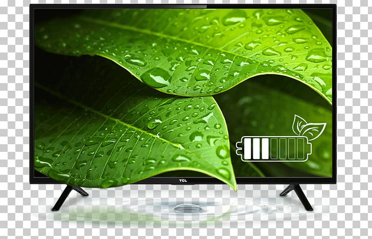 High-definition Television TCL Corporation LED-backlit LCD PNG, Clipart, 1080p, Drop, Green, Highdefinition Television, Lcd Television Free PNG Download