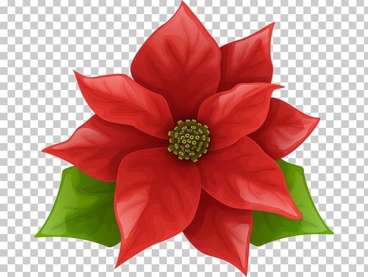 Poinsettia Art Christmas PNG, Clipart, Art, Christmas, Clip, Cut Flowers, Deco Free PNG Download