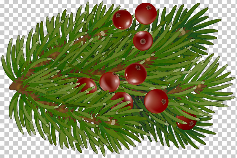 Christmas Day PNG, Clipart, Christmas Day, Christmas Ornament, Christmas Ornament M, Conifers, Fir Free PNG Download