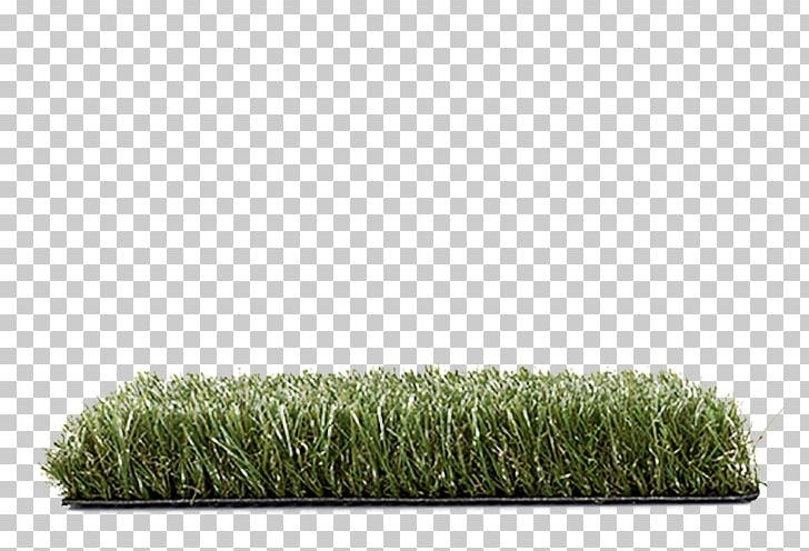 Artificial Turf Lawn Carpet Patio Polypropylene PNG, Clipart, Artificial Turf, Carpet, Centrepoint Carpets Ltd, Floor, Furniture Free PNG Download