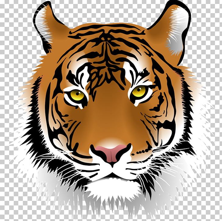 Bengal Tiger Cat PNG, Clipart, Animals, Bengal Tiger, Big Cats, Carnivoran, Cat Free PNG Download