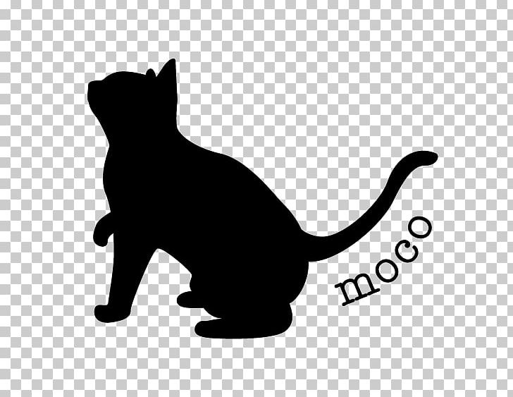 Cat Dog Kitten Pet Lighting PNG, Clipart, Animal Loss, Animals, Black, Black And White, Black Cat Free PNG Download
