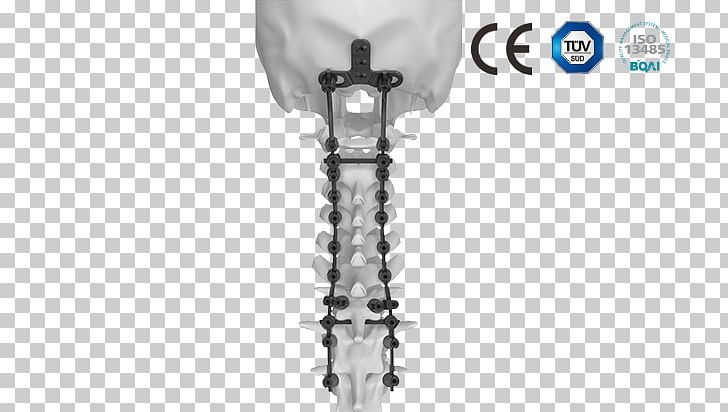 Infrared Thermometers Vertebral Fixation System PNG, Clipart, Ceres, Cervical Vertebrae, Human Body, Infrared, Infrared Thermometers Free PNG Download