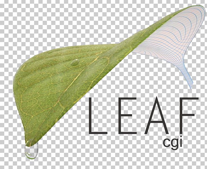 Leaf PNG, Clipart, Art, Grass, Leaf, Leaf Drop, Wing Free PNG Download