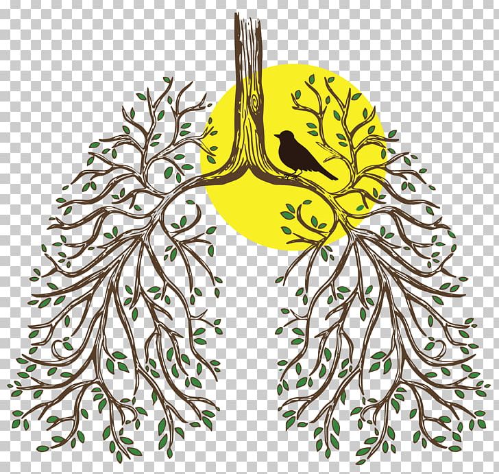 Primary Ciliary Dyskinesia Breathing T-shirt Lung Transplantation PNG, Clipart, Art, Beak, Bird, Branch, Breathe Free PNG Download