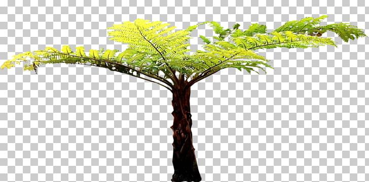 Twig Tree Fern Plant Stem PNG, Clipart, Arecaceae, Arecales, Beside, Branch, Deviantart Free PNG Download