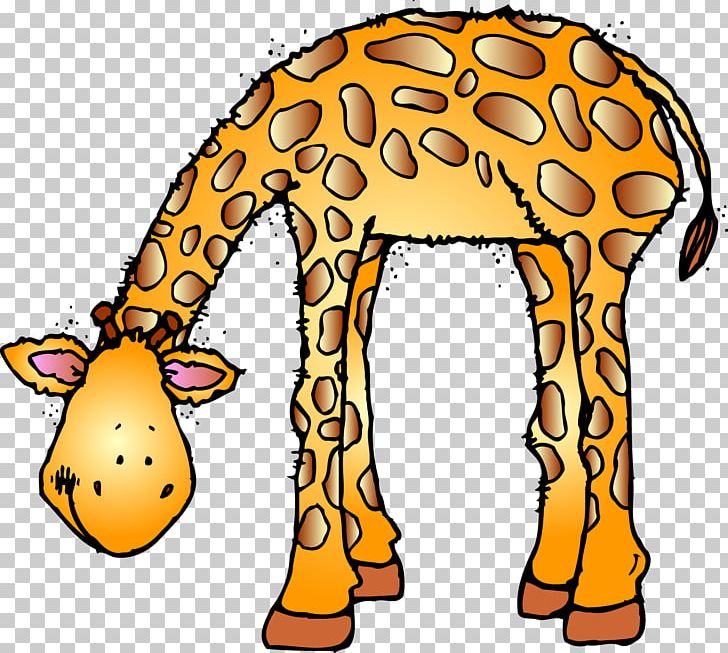 Marwell Wildlife Baby Jungle Animals Giraffe Zoo PNG, Clipart, Animal, Baby, Baby Jungle Animals, Cartoon, Clipart Free PNG Download