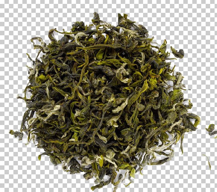 Darjeeling Tea Sencha White Tea Oolong PNG, Clipart, Darjeeling Tea, Oolong Tea, Sencha, White Tea Free PNG Download