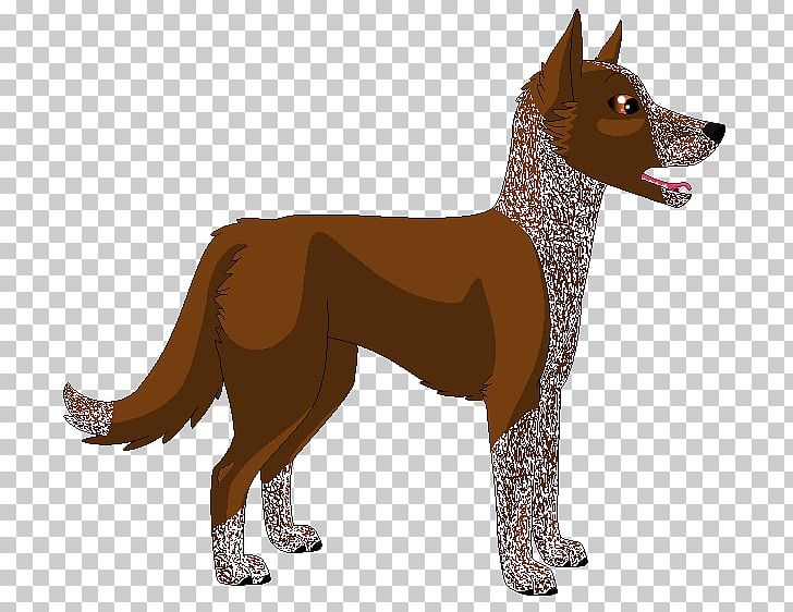 Dog Breed Tail PNG, Clipart, Animals, Breed, Carnivoran, Dog, Dog Breed Free PNG Download