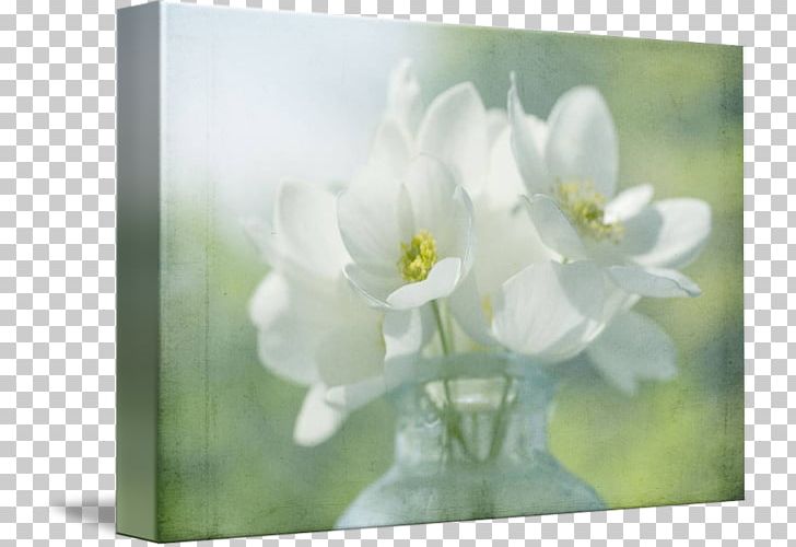 Gallery Wrap Floral Design Art Canvas PNG, Clipart, Anemone, Art, Blossom, Canvas, Floral Design Free PNG Download