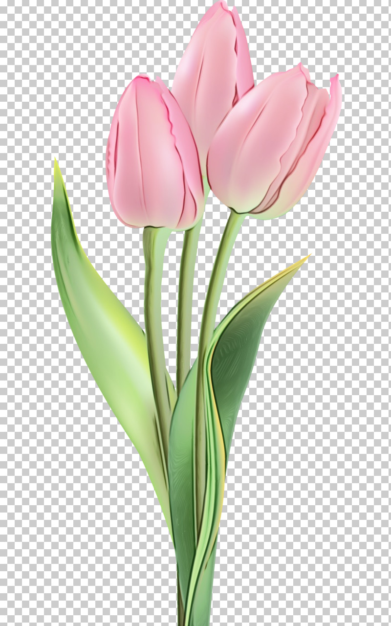 Artificial Flower PNG, Clipart, Artificial Flower, Bud, Cut Flowers, Flower, Lily Family Free PNG Download