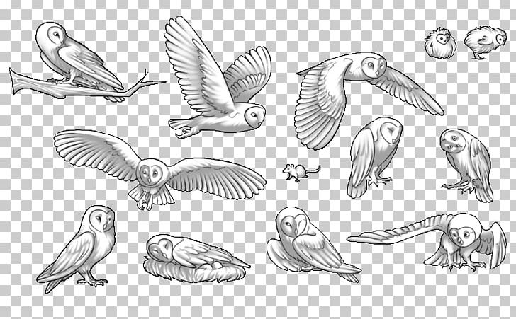 Barn Owl Swallow Bird Of Prey PNG, Clipart, Animal, Animal Figure, Animals, Art, Artwork Free PNG Download