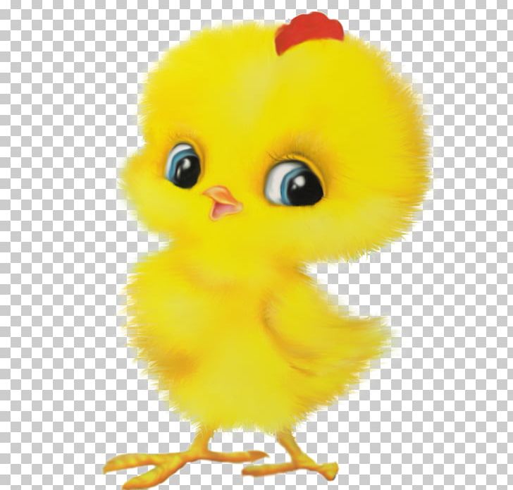 Chicken Rooster Bird Child Duck PNG, Clipart, Animals, Beak, Bird, Cartoon, Chicken Free PNG Download
