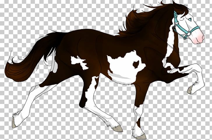 Foal Stallion Mane Mustang Mare PNG, Clipart, Bridle, Colt, English Riding, Equestrian, Equestrian Sport Free PNG Download