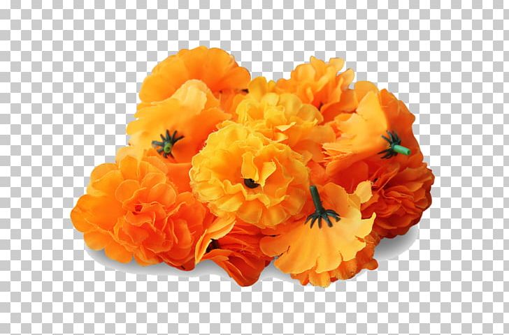 Mexican Marigold Desktop PNG, Clipart, Calendula Officinalis, Cut Flowers, Desktop Wallpaper, Display Resolution, Flower Free PNG Download