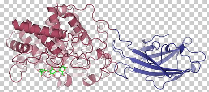 Cellulase Enzyme Trichoderma Viride Cellulose Glucan PNG, Clipart, Art, Artwork, Bacteria, Catalysis, Cellulase Free PNG Download