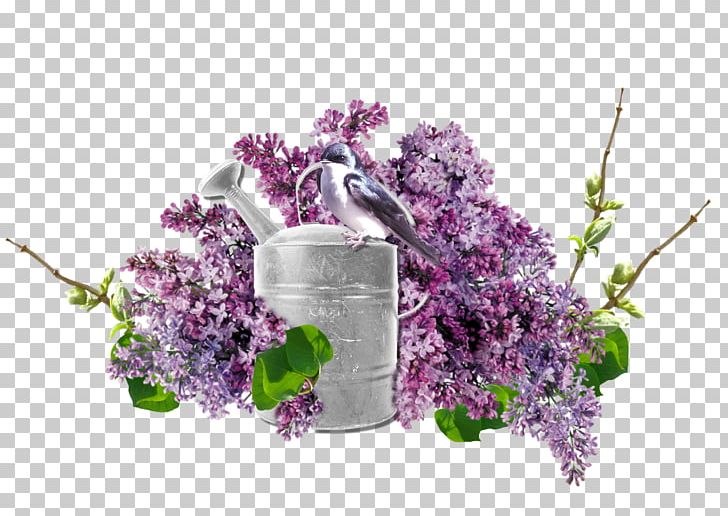 Flower Photography PNG, Clipart, Albom, Cut Flowers, Floral Design, Floristry, Flower Free PNG Download