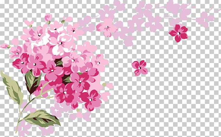 Flower PNG, Clipart, Animals, Blossom, Branch, Cherry Blossom, Color Free PNG Download