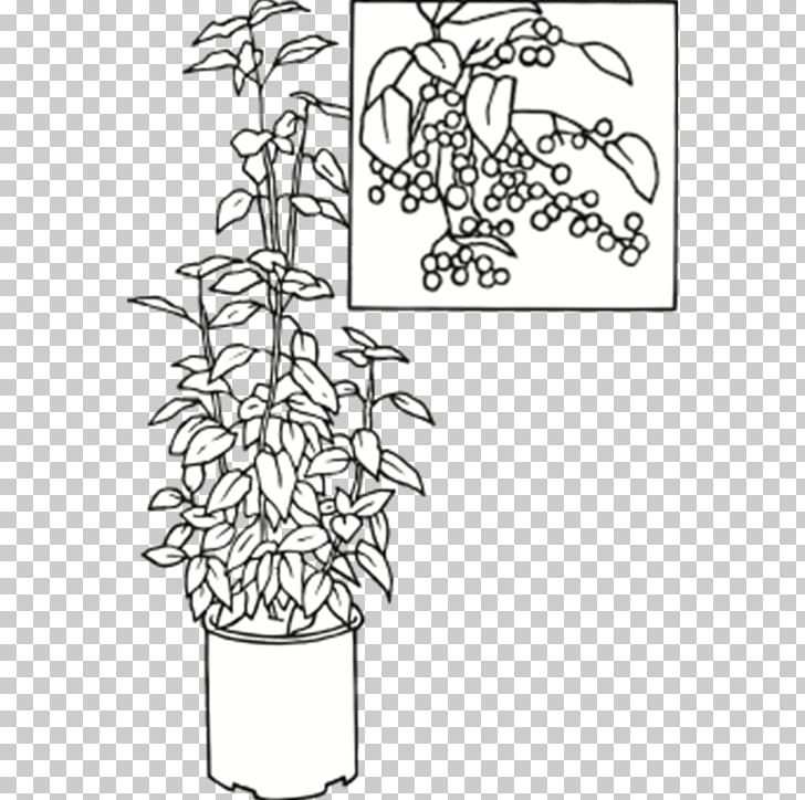 Plant Stem Visual Arts Leaf Flower PNG, Clipart, Angle, Animal, Aristotelia Chilensis, Art, Black And White Free PNG Download