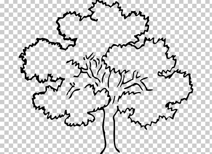 Tree Drawing Outline PNG, Clipart, Area, Black, Black And White, Branch, Coloring Book Free PNG Download