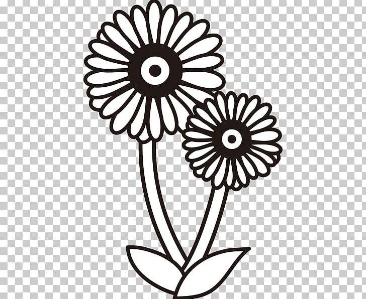 Cut Flowers Graphics Floral Design PNG, Clipart, Area, Artwork, Black And White, Chrysanthemum, Cut Flowers Free PNG Download