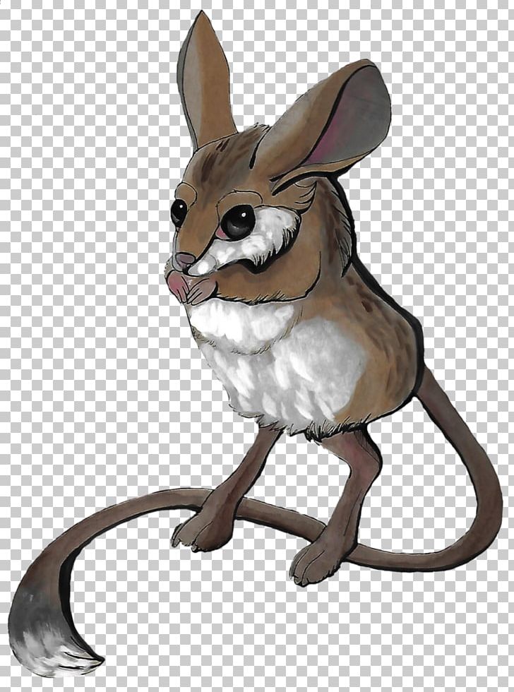 Domestic Rabbit Hare Macropodidae Red Fox Whiskers PNG, Clipart, Animals, Cartoon, Domestic Rabbit, Fauna, Hare Free PNG Download