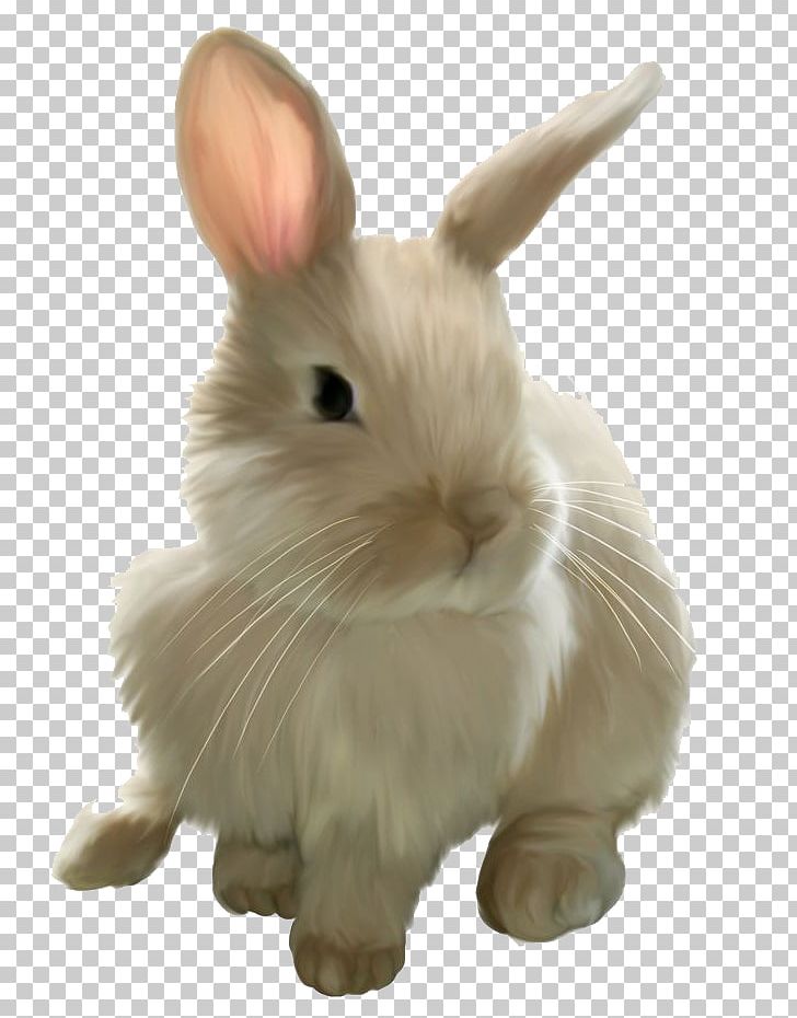 Easter Bunny Rabbit PNG, Clipart, Angel Bunny, Animals, Bunny Rabbit, Clip Art, Domestic Rabbit Free PNG Download